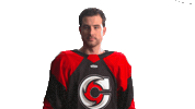 Hockey Echl Sticker by Cincinnati Cyclones