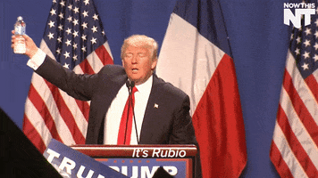 GIF by NowThis 