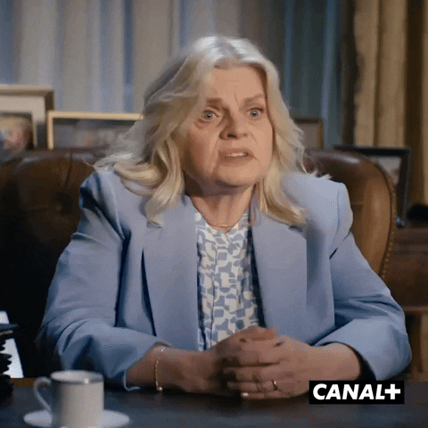 Angry Pamela Rose GIF by CANAL+