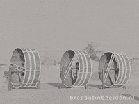 Summer Beach GIF by BrabantinBeelden