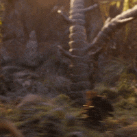 Jim Henson Netflix GIF by The Dark Crystal: Age of Resistance