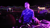 dance festival GIF