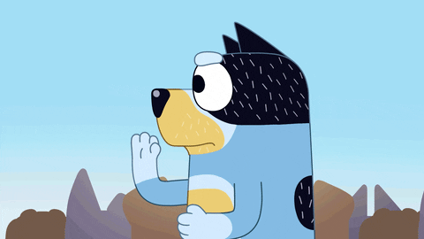 GIF by camverifiedpartner