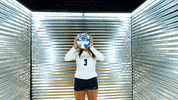 Toledo Volleyball GIF by Toledo Rockets