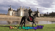 france magic GIF by Bunim/Murray Productions