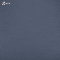 Tennis Smile GIF by WTA