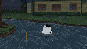 Fox Tv Drink GIF by AniDom