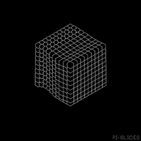 pislices loop 3d trippy black and white GIF