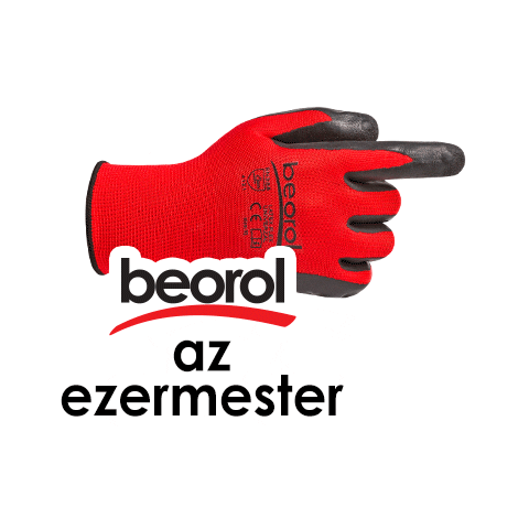 Festes Vedelem Sticker by Beorol