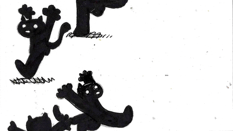 Warning Scaredy Cat GIF by Jimmy Arca