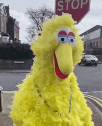 Happy Big Bird GIF by Hugh Baird College and University Centre