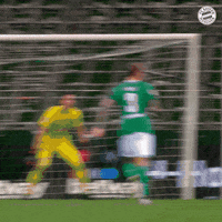 Happy Game GIF by FC Bayern Munich