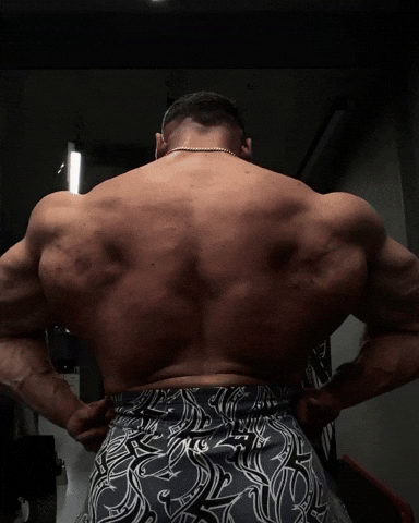 Alaf GIF