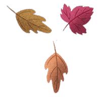 Fall Autumn Sticker