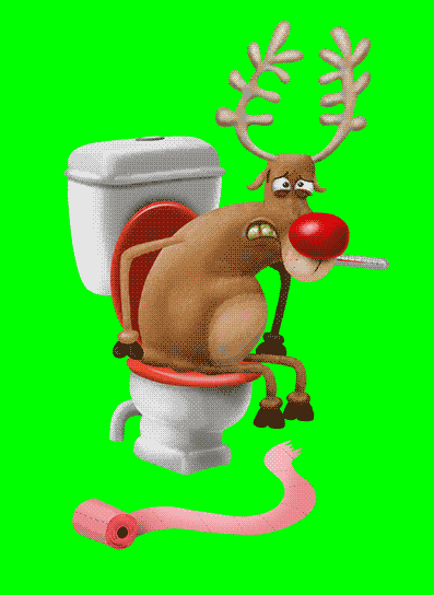 Food Poisoning Christmas GIF by Bill Greenhead