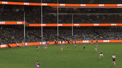 Celebration Goal GIF by Port Adelaide FC