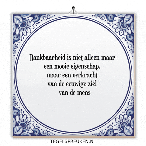 Respect Nl GIF by Tegelspreuken.nl