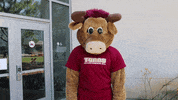 csudhteddytoro shocked surprised shook csudh GIF