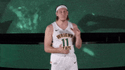 Ncaa Sports Sport GIF by Wright State University Athletics