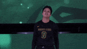 Ncaa Sports Sport GIF by Wright State University Athletics