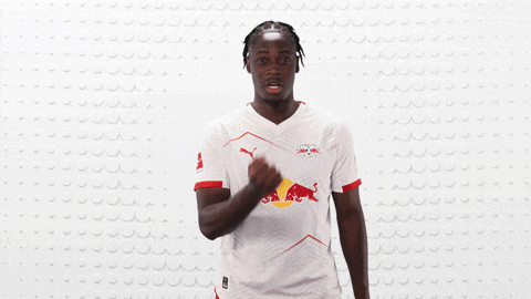 Rb Leipzig Football GIF by Bundesliga