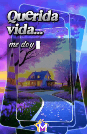 Que Quieres Yo No Se GIF by Murcianys LLC