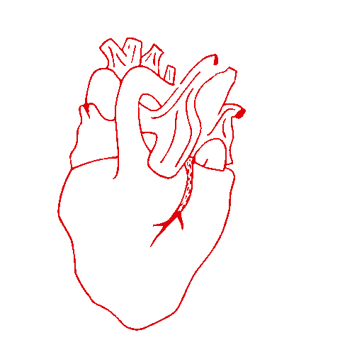 vvvioleta giphyupload heart red flowers Sticker