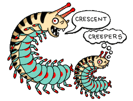 anythingjules cute creepy bug insect Sticker