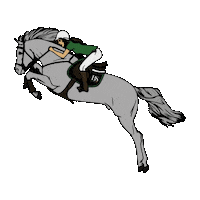 Sport Jumping Sticker by Briganti Silver