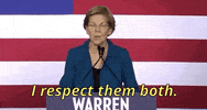 Elizabeth Warren GIF