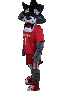 Stony Brook Sticker by Stony Brook University