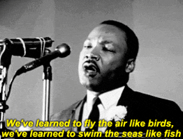 martin luther king jr mlk GIF
