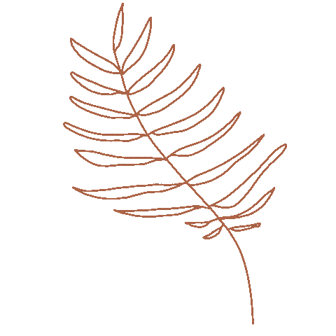 emendress giphyupload plant plants minimal Sticker