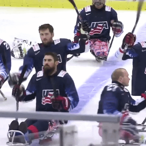 USAHockey giphygifmaker thank you waving salute GIF