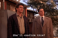 season 1 GIF by Twin Peaks on Showtime