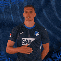 Grischa Prömel Sport GIF by TSG Hoffenheim
