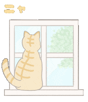 Cat ねこ Sticker