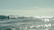 surfing hawaii GIF by NOWNESS