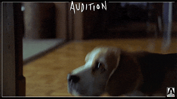 first date film GIF by Arrow Video