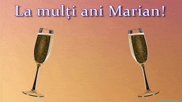 Romania Marian GIF by echilibrultau