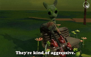 They're Kind Of Aggressive