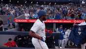 Blue Jays Baseball GIF by Toronto Blue Jays