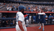 Blue Jays Baseball GIF by Toronto Blue Jays