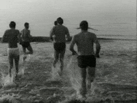 new year sea GIF by Europeana