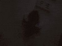 hamster obstacle course GIF