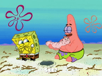 season 6 pet or pets GIF by SpongeBob SquarePants