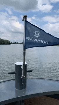 BlueAmigo  GIF