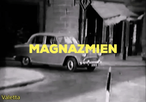 magna zmien GIF