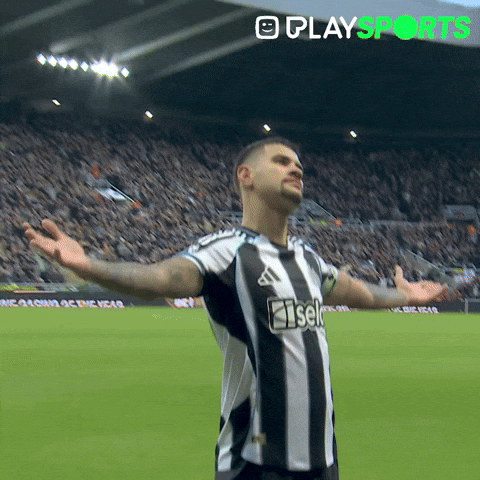 Premier League What GIF by Play Sports