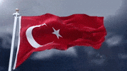 Turkey GIF